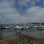 Monterey2016_0076 (April 29, 2016)